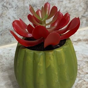 Faux Potted Succulent